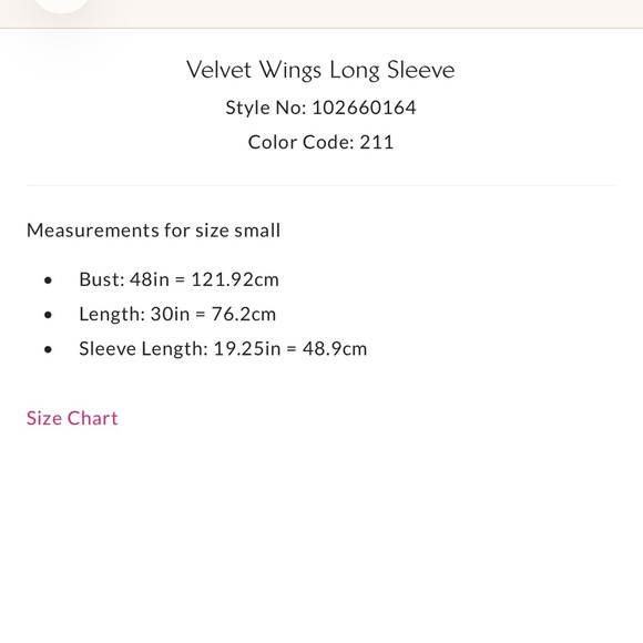 Free People Velvet Wings Long Sleeve Top in Ivory Combo - Picture 4 of 9